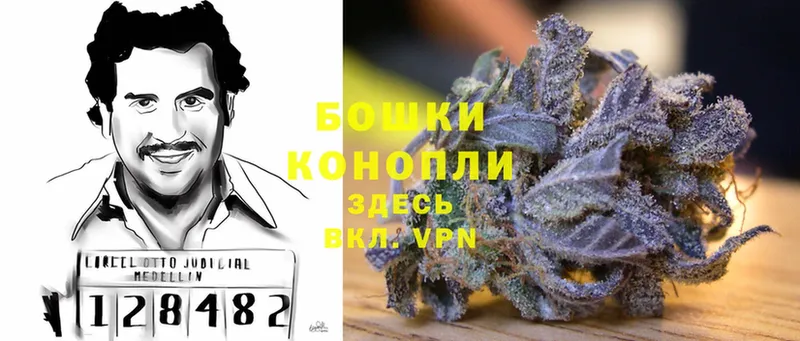 Бошки марихуана SATIVA & INDICA  Волжск 